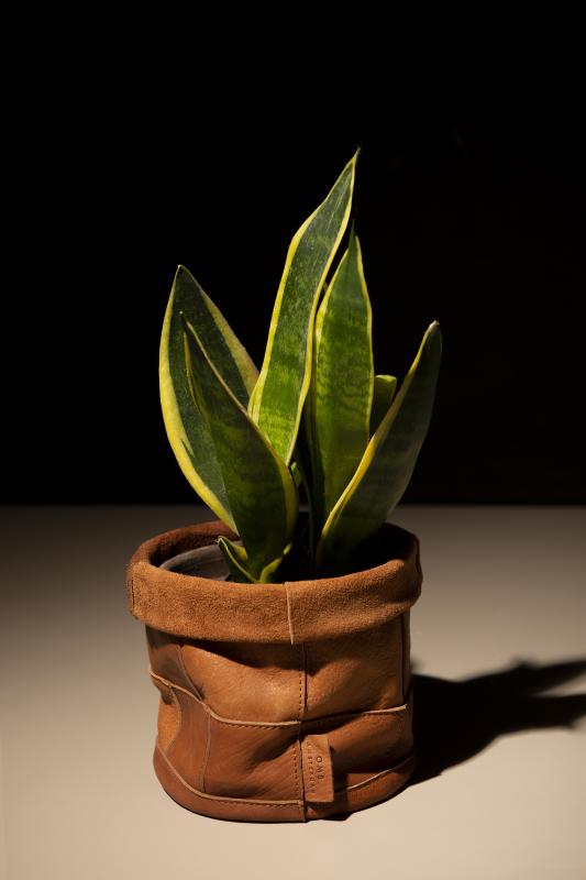 Leather Pot - kožený kvetináč vo farbe Wild Oak